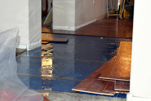 Professional Basement Flood Cleanup technician working in Highland, MD